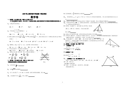 2009上海市中考数学试题(含答案)