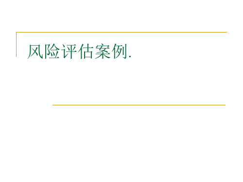 风险评估案例
