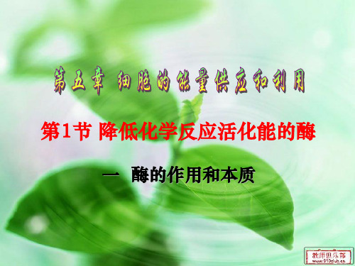 生物：5.1《降低化学反应活化能的酶》课件(新人教版必修1)