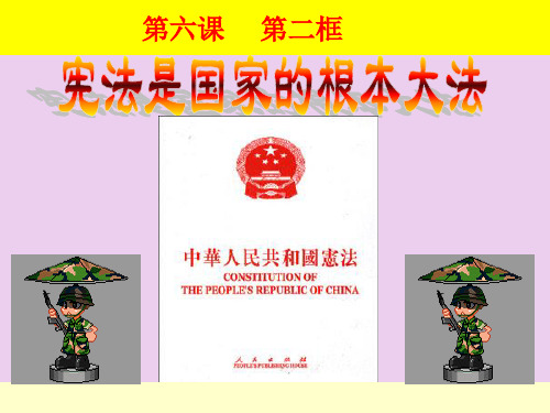 16.宪法是国家的根本大法(2013年156)