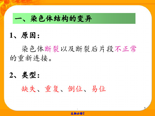 染色体变异()PPT课件