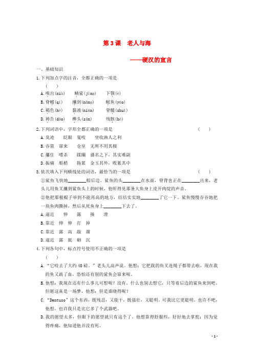 【学案导学设计】高中语文 第3课 老人与海练习(含解析)必修3