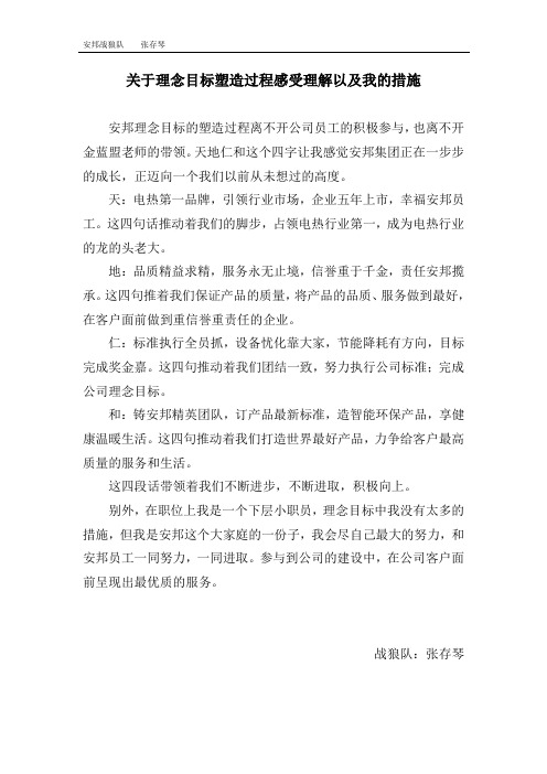 战狼队(张存琴)理念目标打造中的感受与理解和个人改进措施