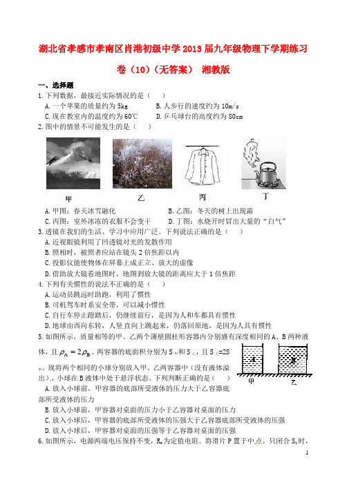 湖北省孝感市孝南区肖港初级中学九年级物理下学期练习卷(10)(无答案) 湘教版