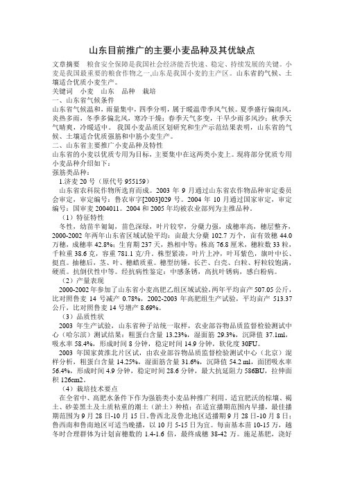 山东目前推广的主要小麦品种及其优缺点