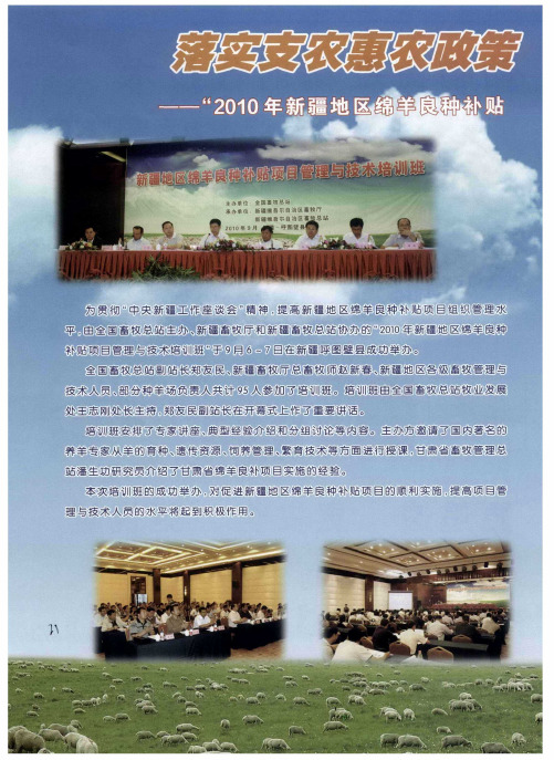 落实支农惠农政策——“2010年新疆地区绵羊良种补贴”
