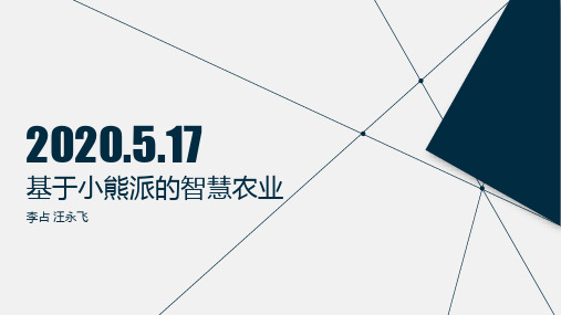 嵌入式答辩