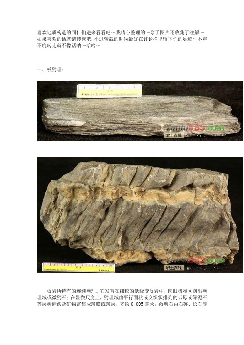 各种褶皱+图片说明