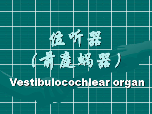 位听器