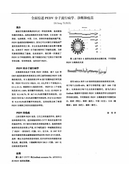 全面综述PEDV分子流行病学、诊断和疫苗