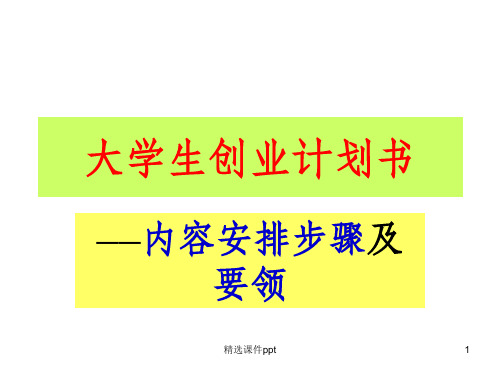 《大学生创业计划书》PPT课件