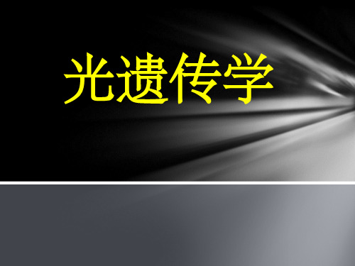 光遗传学(课堂PPT)
