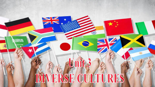 高一英语人教版必修第三册 Unit 3 Diverse Cultures Project课件