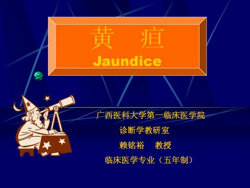 黄疸(5年本科临床医学第七版)