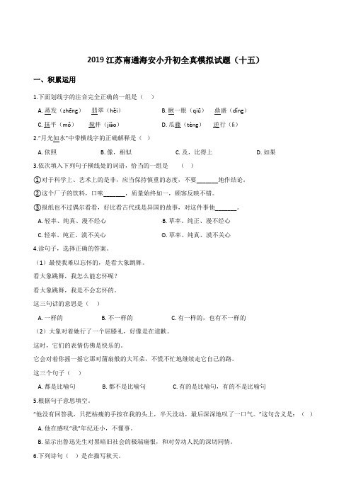 六年级下册语文试题-2019江苏南通海安小升初全真模拟试题(十五) 苏教版 含答案