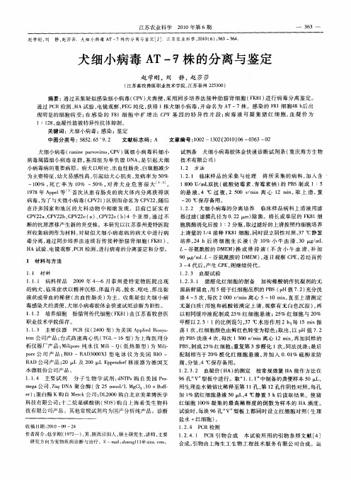 犬细小病毒AT-7株的分离与鉴定