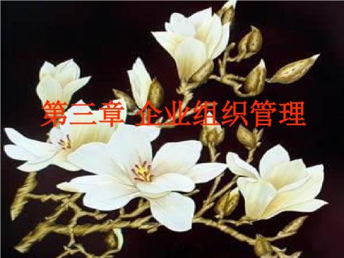 第三章 企业组织讲解