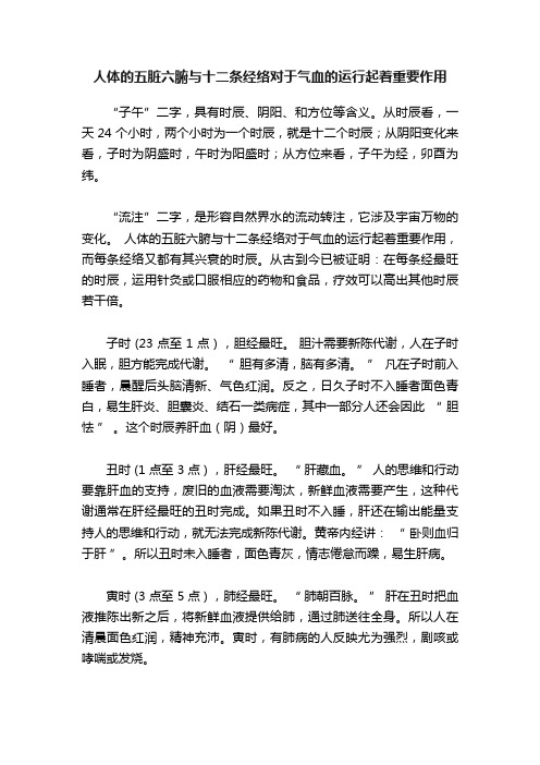 人体的五脏六腑与十二条经络对于气血的运行起着重要作用