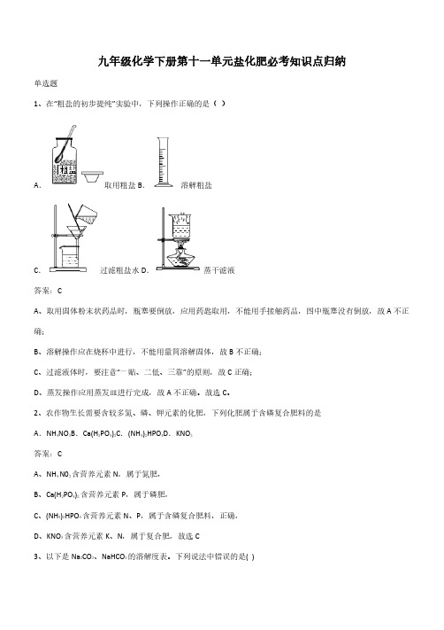 九年级化学下册第十一单元盐化肥必考知识点归纳(带答案)