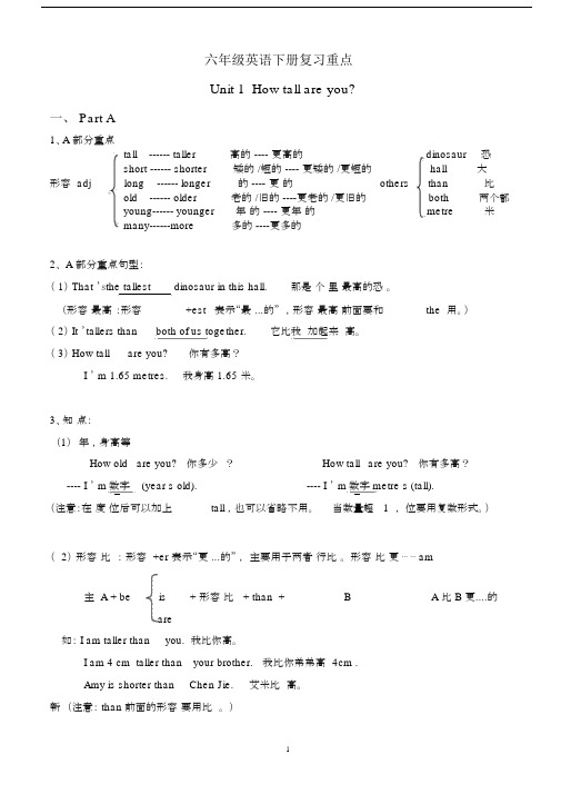 (word完整版)pep六年级英语下册复习资料(整理).docx