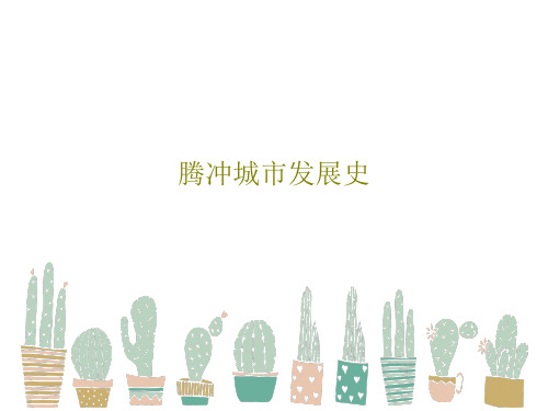 腾冲城市发展史共88页