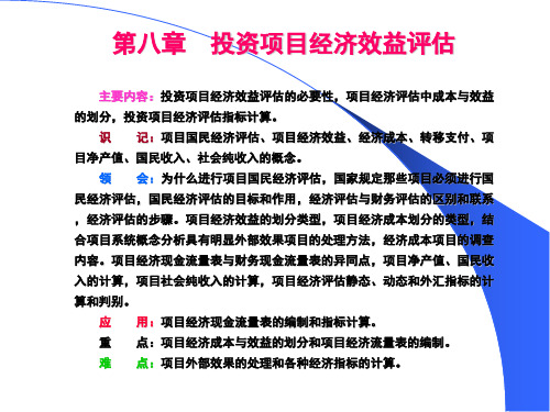 8投资项目经济效益评估.ppt