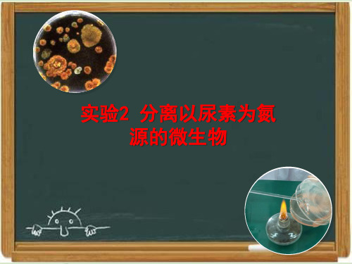 浙科版生物选修一《生物技术实践 》《分离以尿素为氮源的微生物》教学课件2-新版