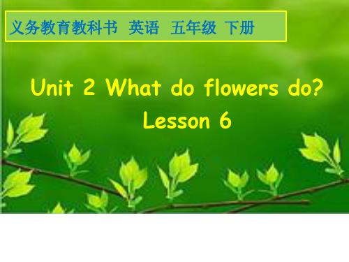 五年级下册英语课件-UNIT TWO WHAT DO LEAVES DO Lesson 6 ｜北京课改版 (2)