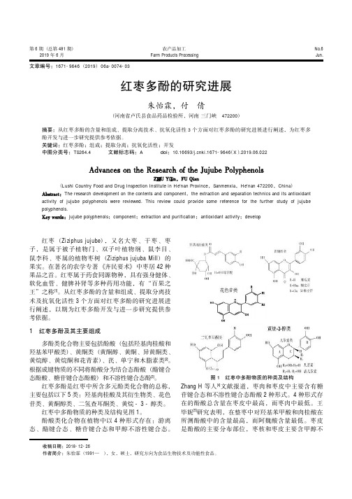 红枣多酚的研究进展