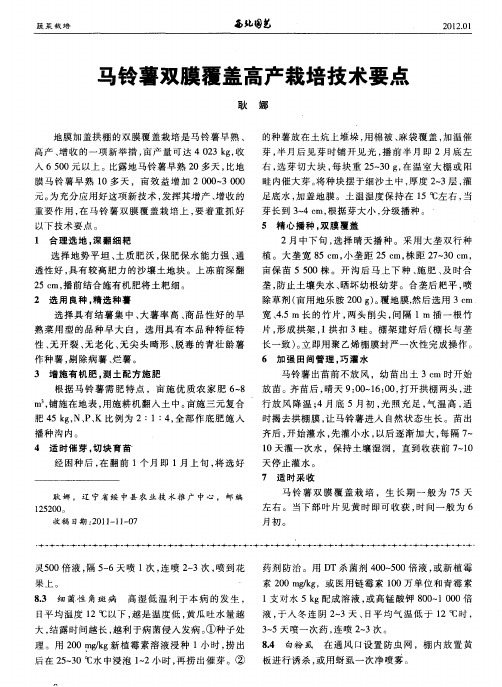 马铃薯双膜覆盖高产栽培技术要点