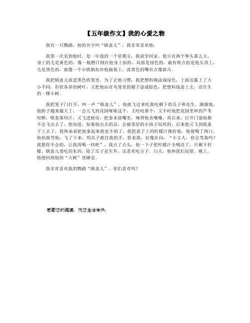 【五年级作文】我的心爱之物