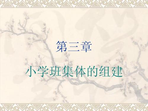 三、班集体的组建
