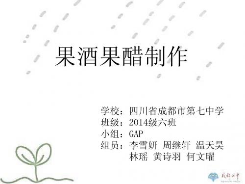 果酒果醋制作