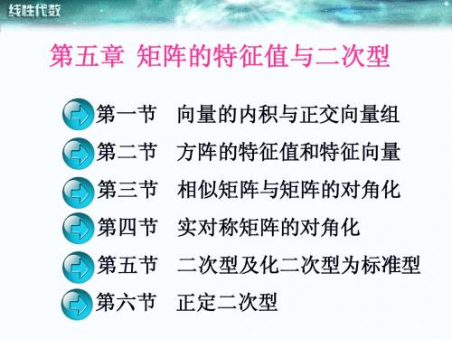 5矩阵的特征值与二次型