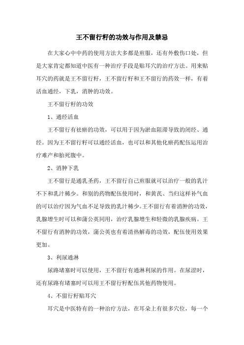 王不留行籽的功效与作用及禁忌
