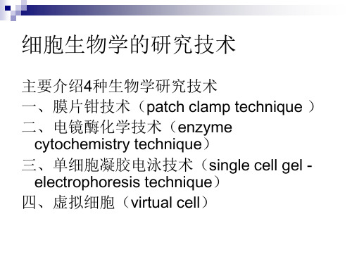 细胞生物学的研究技术