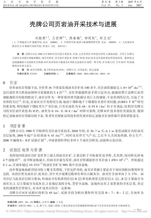 壳牌公司页岩油开采技术与进展