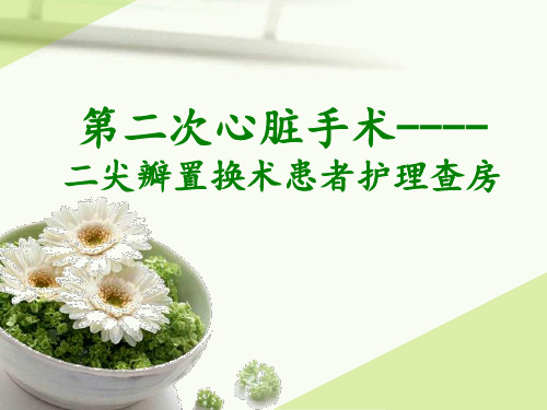 护理查房-心脏瓣膜