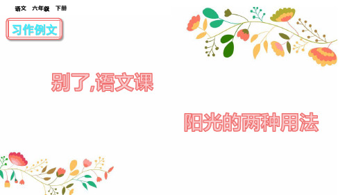 最新2020年部编版小学六年级语文下册：习作例文精品课件