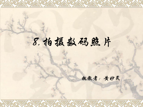 第8课拍摄数码相片课件小学信息技术闽教课标版信息技术四年级下册课件