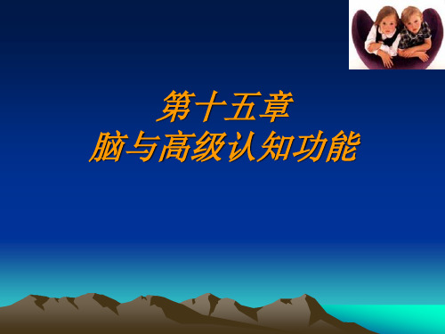 脑与高级认知功能