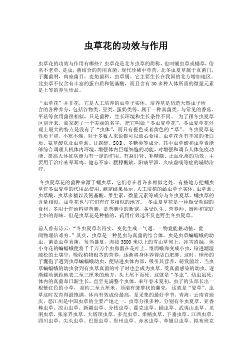 虫草花的功效与作用