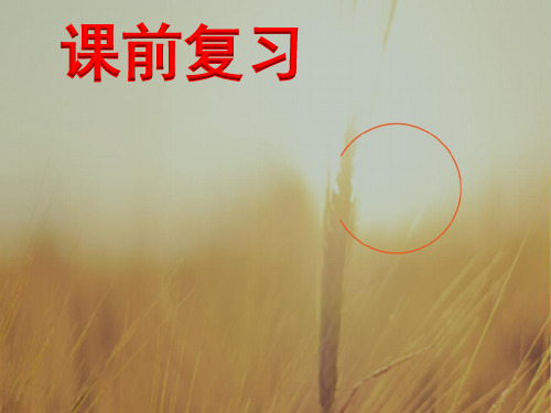 山东省牟平第一中学2017-2018学年高二文化生活课件_4-1 传统文化的继承 精品