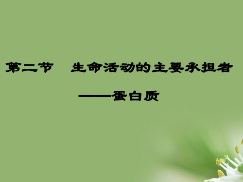 生命活动的主要承担者—蛋白质 32张ppt精选教学PPT课件