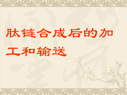 肽链合成后的加工和输送 