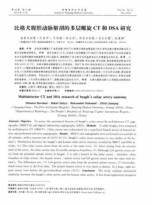 比格犬腹腔动脉解剖的多层螺旋CT和DSA研究