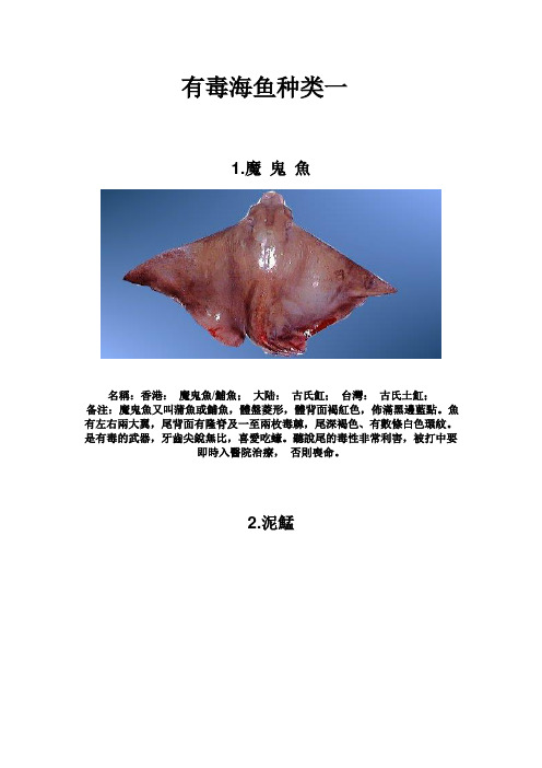 有毒海鱼种类一