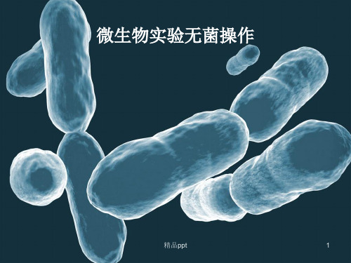 微生物无菌操作技术ppt课件