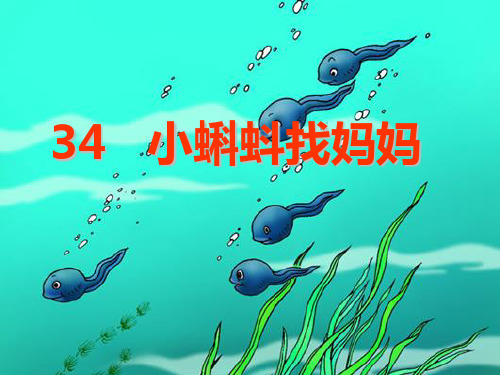 34--小蝌蚪找妈妈PPT优秀课件