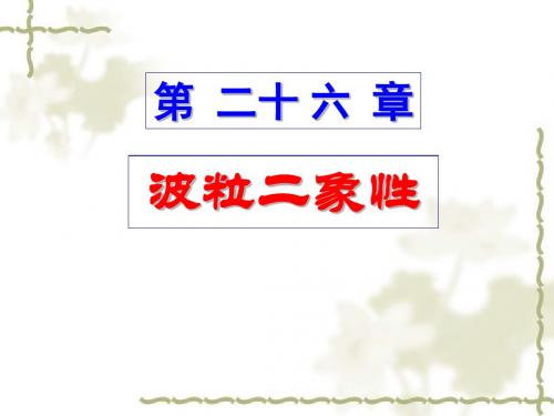 第二十六章波粒二象性